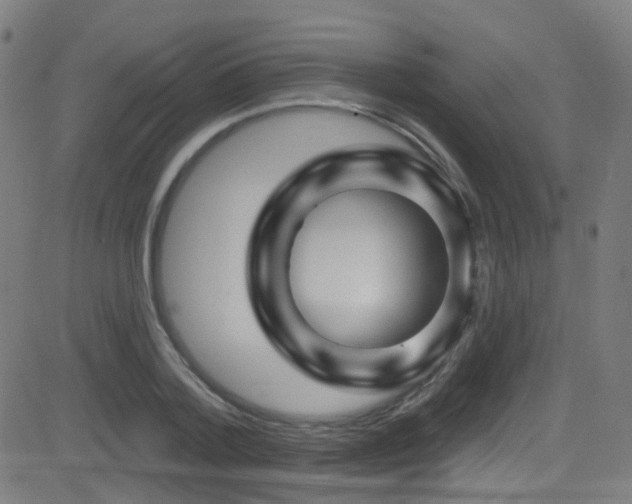 X0000081340788200701111423