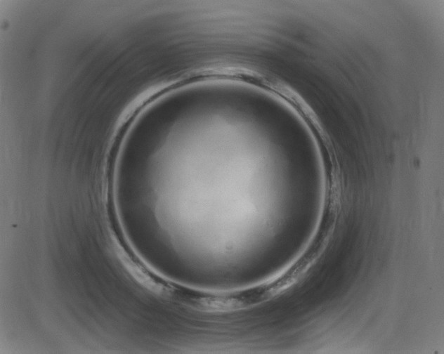 X0000081340795200701111423