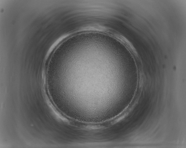 X0000081340796200701111423