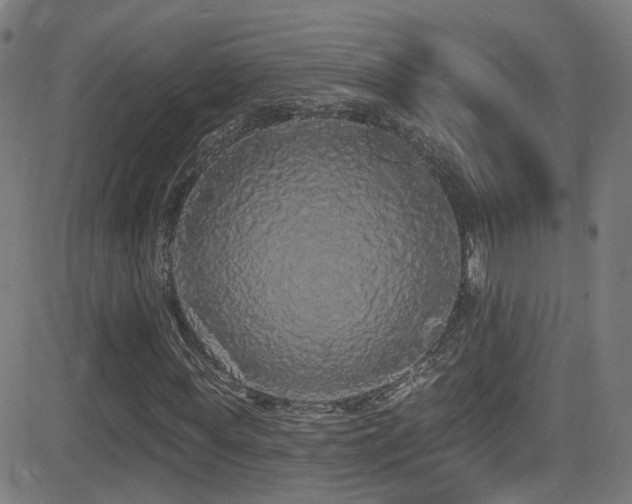 X0000081340819200701111422