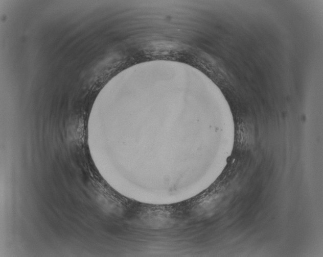 X0000081340820200701111422