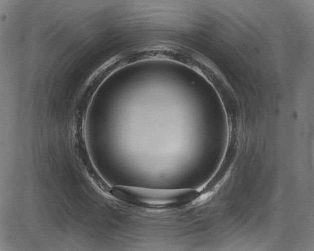 X0000081340826200701111422