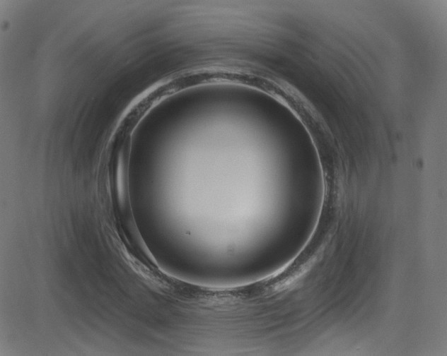 X0000081340830200701111422