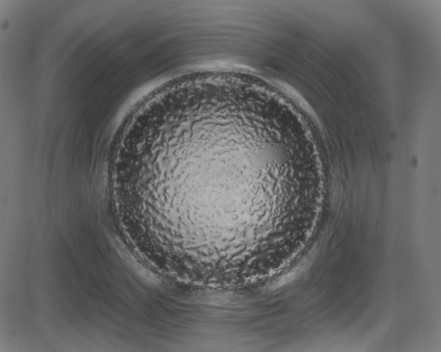 X0000081340831200701111422