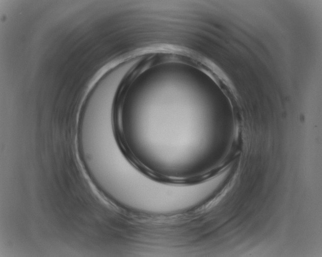 X0000081340845200701111422