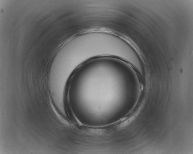 X0000081340849200701111422