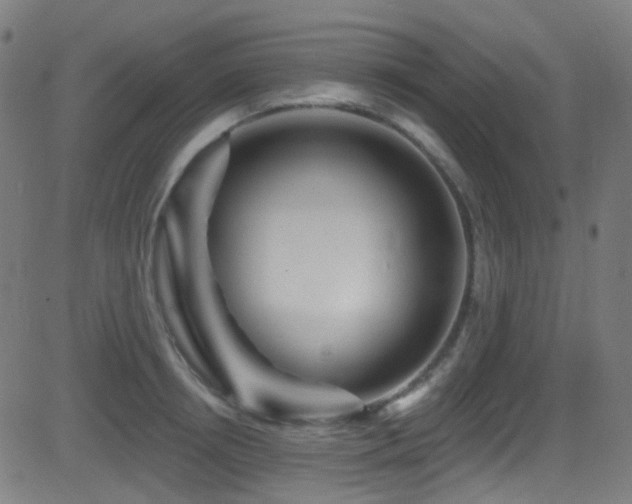 X0000081340850200701111422