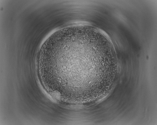 X0000081340859200701111422