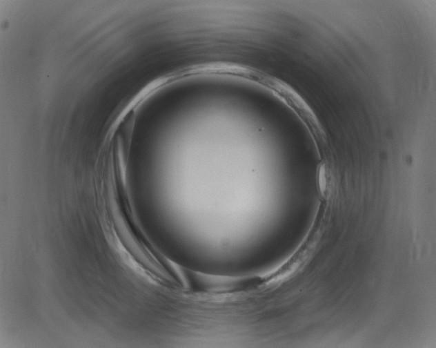 X0000081340860200701111422