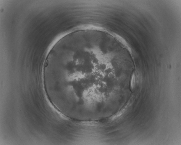 X0000081340863200701111422
