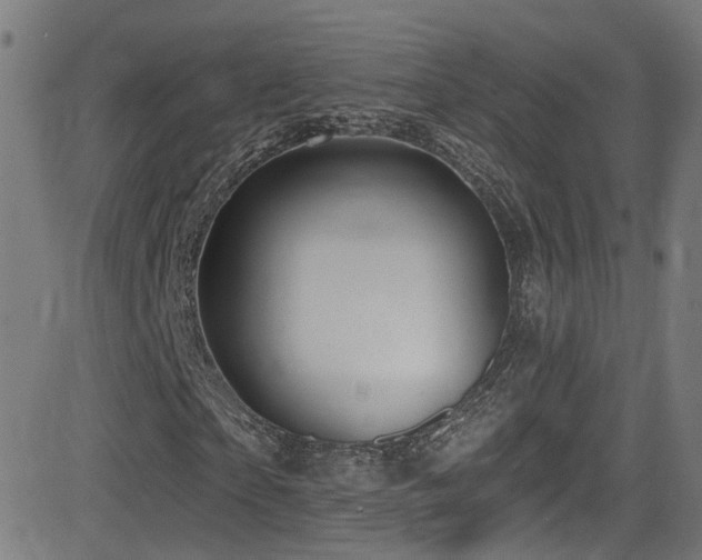 X0000081340865200701111422