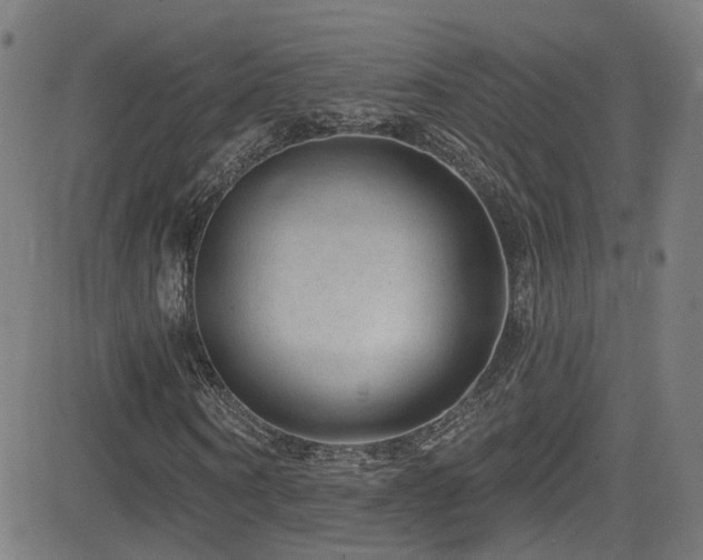 X0000081340866200701111422