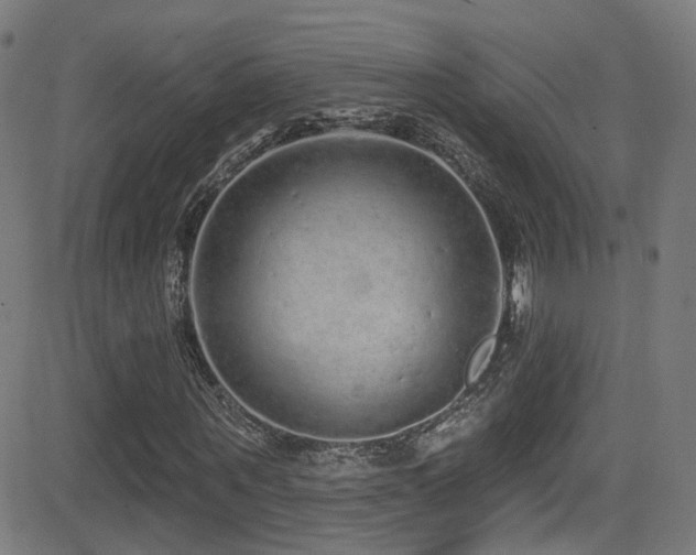 X0000081340867200701111422