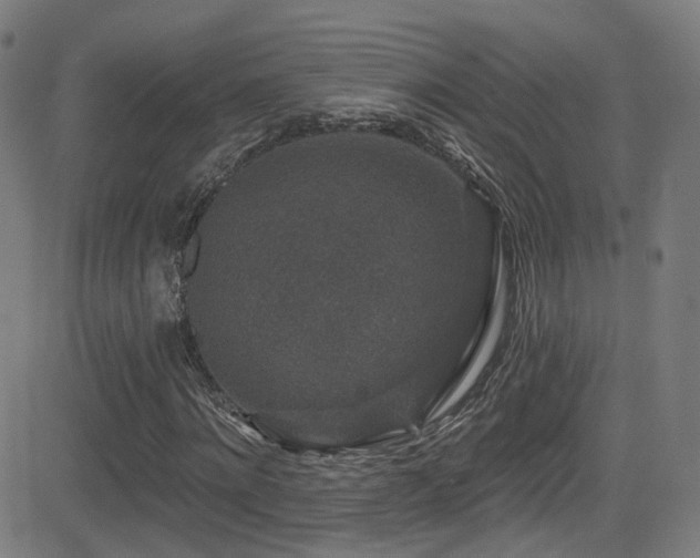 X0000081340868200701111422