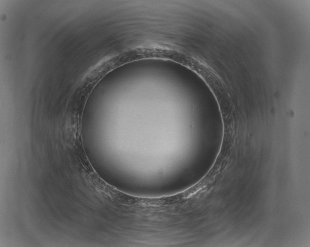 X0000081340870200701111421