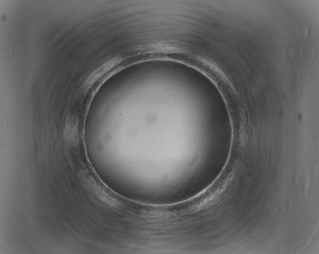 X0000081340873200701111421