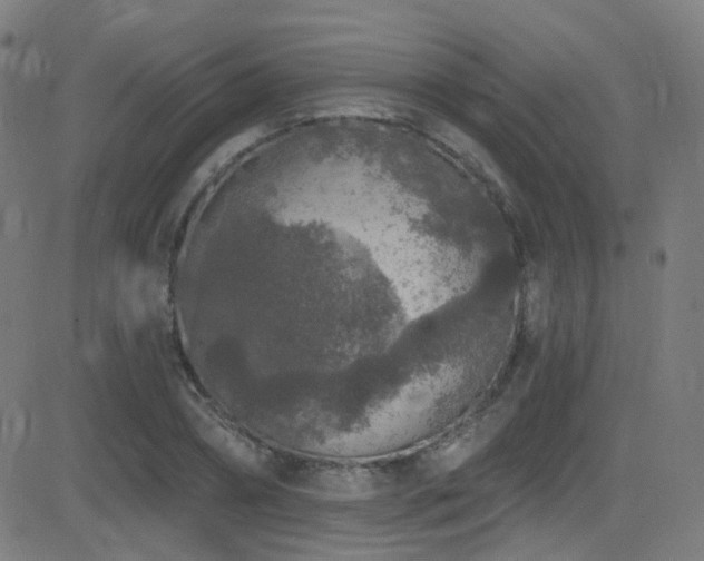 X0000081340882200701111421
