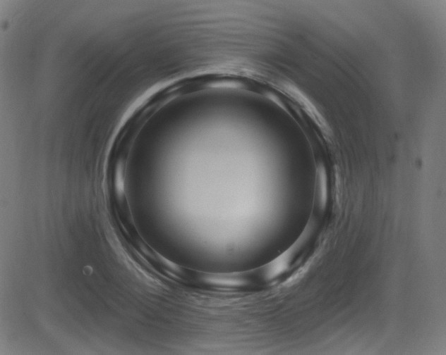 X0000081340884200701111421
