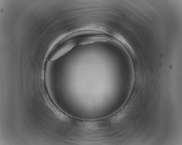 X0000081340900200701111421