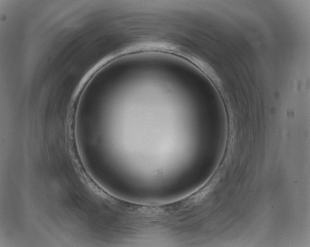 X0000081340912200701111421