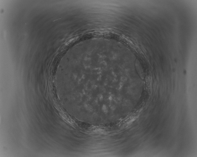 X0000081340913200701111420