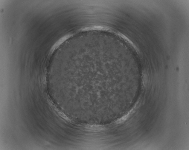 X0000081340921200701111420