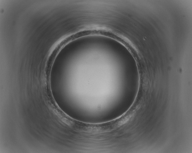 X0000081340927200701111420