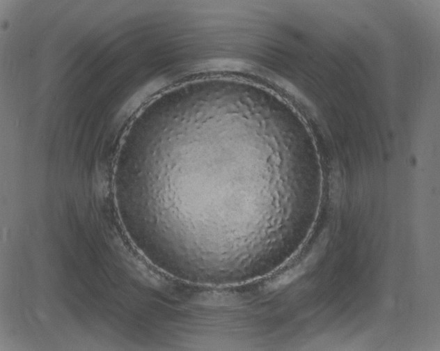X0000081340929200701111420