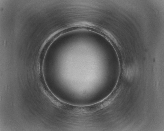 X0000081340931200701111420
