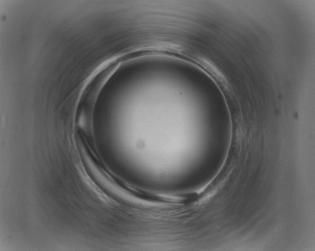 X0000081340940200701111420