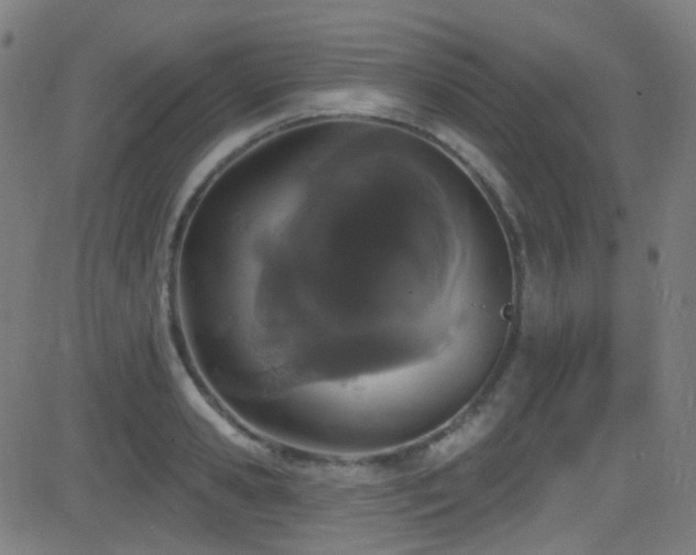 X0000081340941200701111420