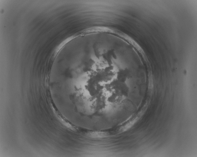 X0000081340953200701111421