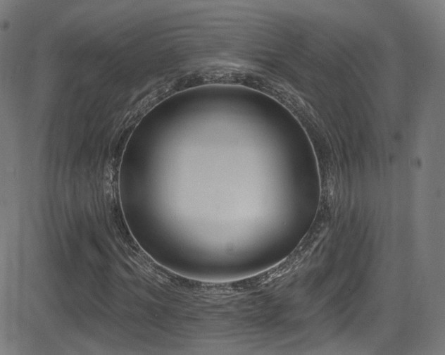 X0000081340964200701111420