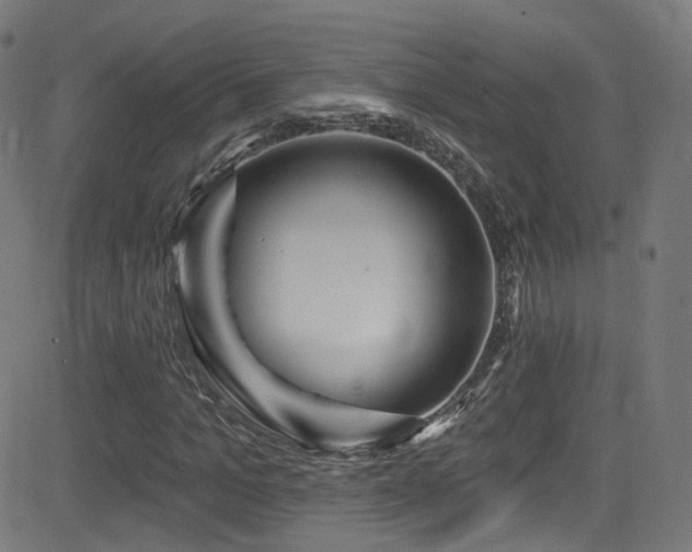 X0000081340965200701111420