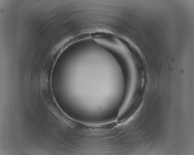 X0000081340969200701111420
