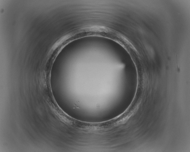 X0000081340970200701111420