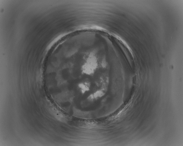 X0000081340975200701111420