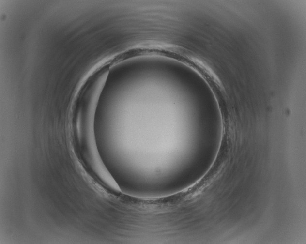 X0000081340976200701111420