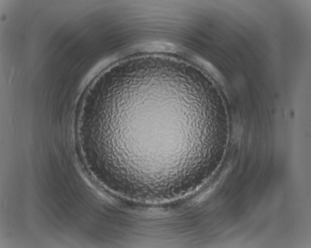 X0000081340986200701111420