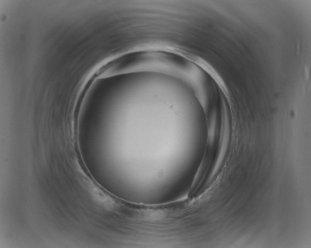 X0000081340996200701111419