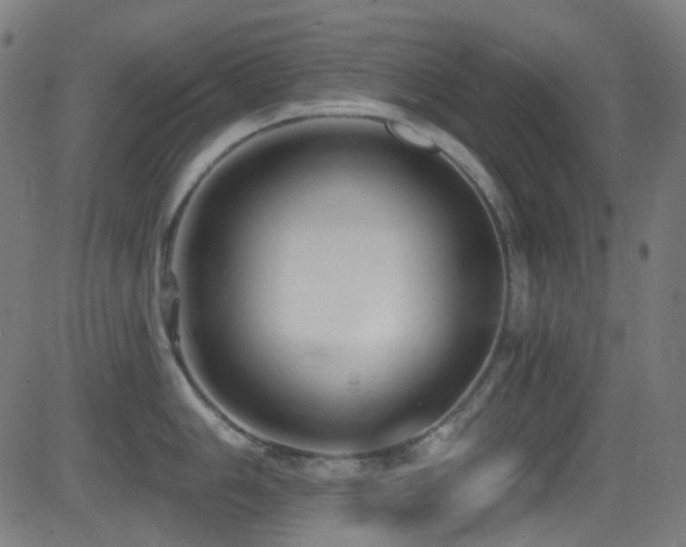 X0000081341006200701111419