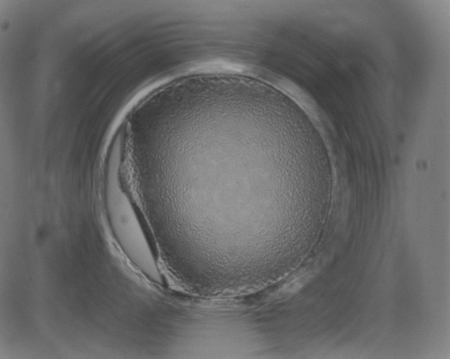 X0000081341008200701111419