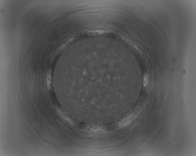 X0000081341011200701111418