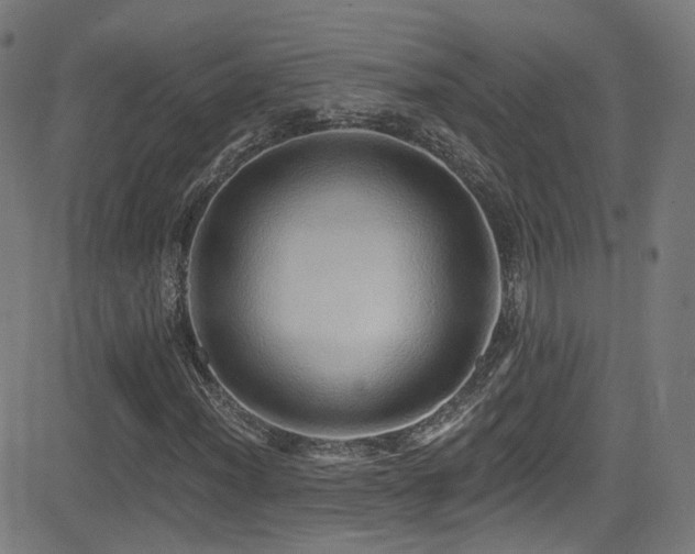 X0000081341012200701111418