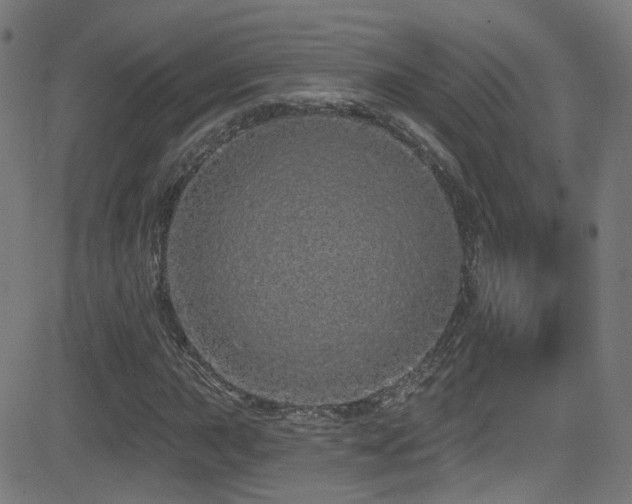 X0000081341015200701111419
