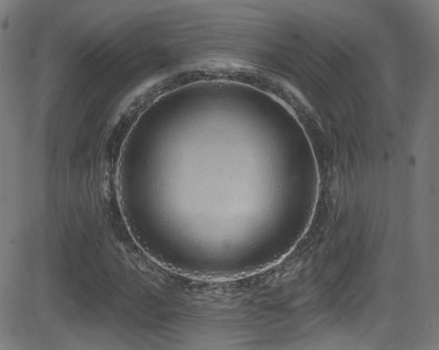 X0000081341016200701111419