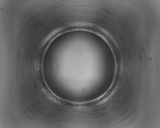 X0000081341017200701111419