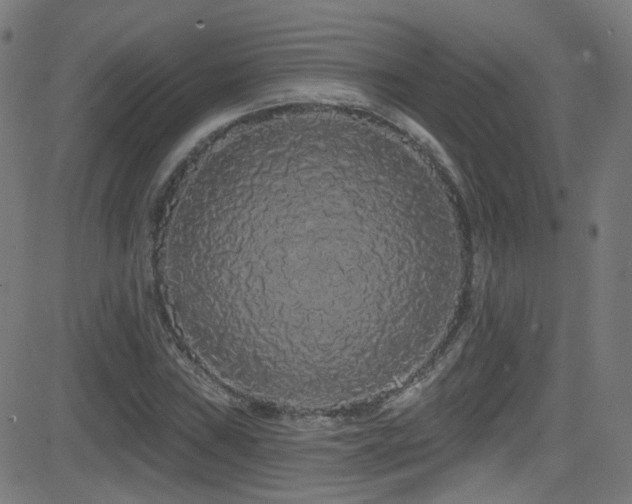 X0000081341019200701111419