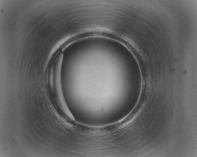 X0000081341022200701111419