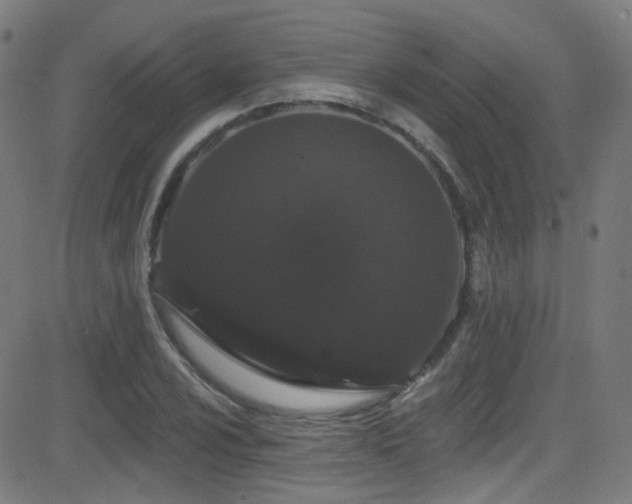 X0000081341024200701111419